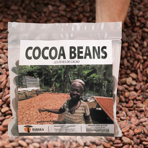 Cocoa Beans (The Source of Cocoa Butter)