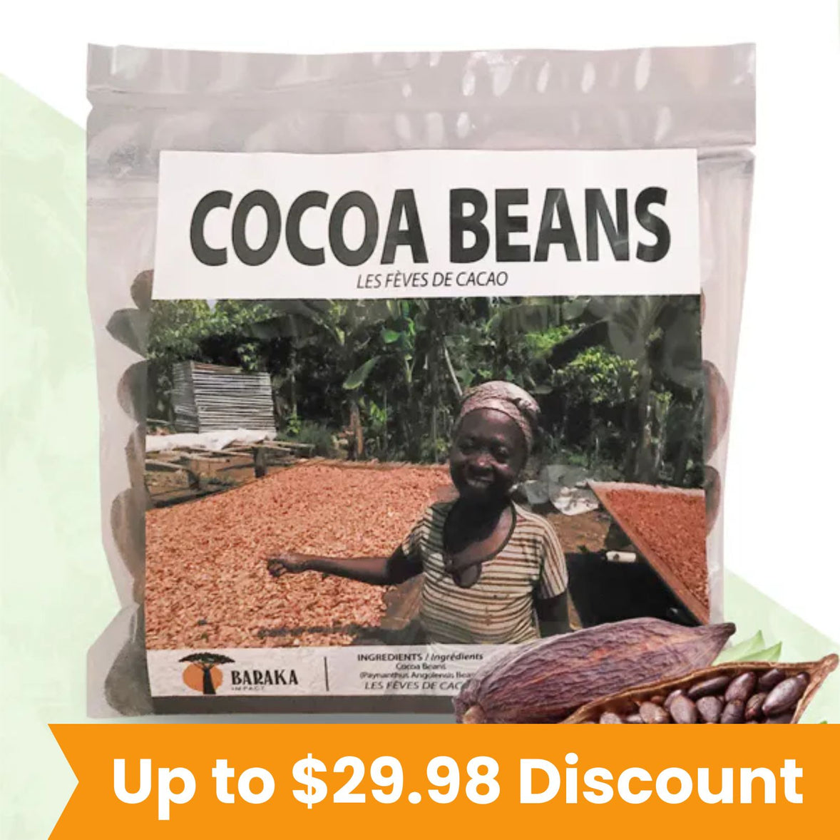 Cocoa Beans (The Source of Cocoa Butter)